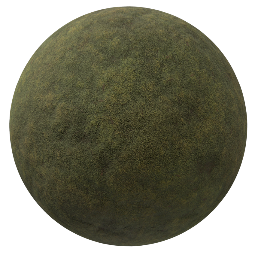 Aged Moss Surface